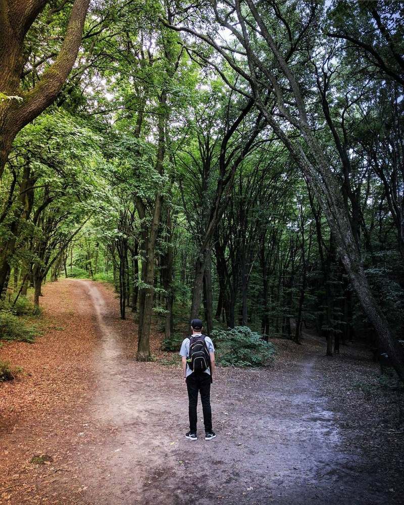 A person standing at a fork in a wooded path, deciding which way to go — the moment this whole site is built around.